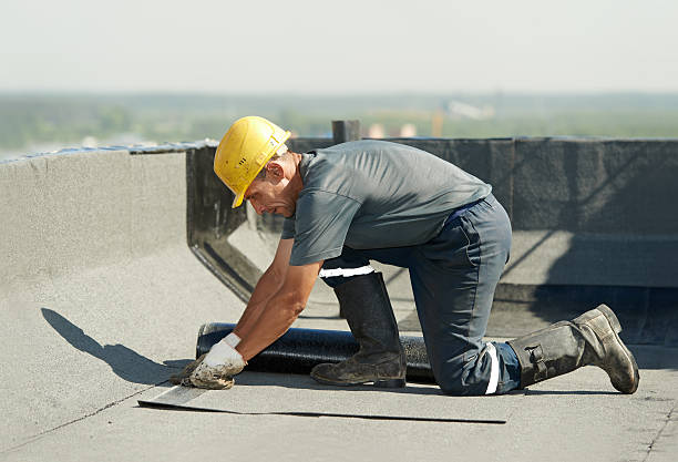 Best Attic Insulation Installation  in Newman, CA