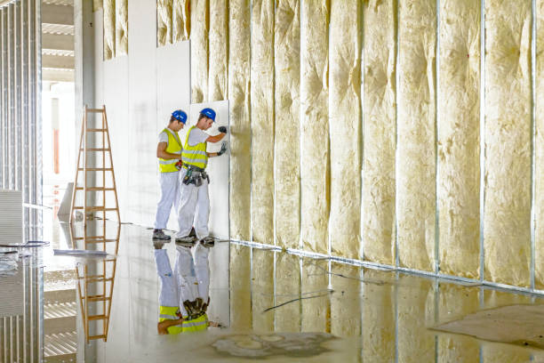 Best Insulation for New Construction  in Newman, CA